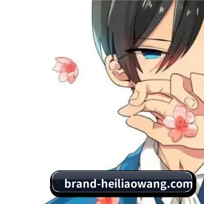 功能完善