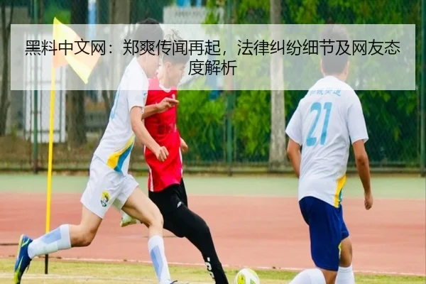 黑料中文网：郑爽传闻再起，法律纠纷细节及网友态度解析